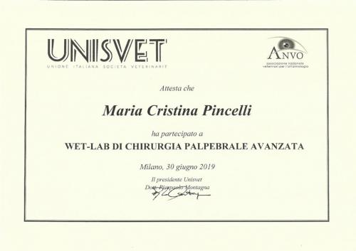 chirurgia palpebrale avanzata 2019